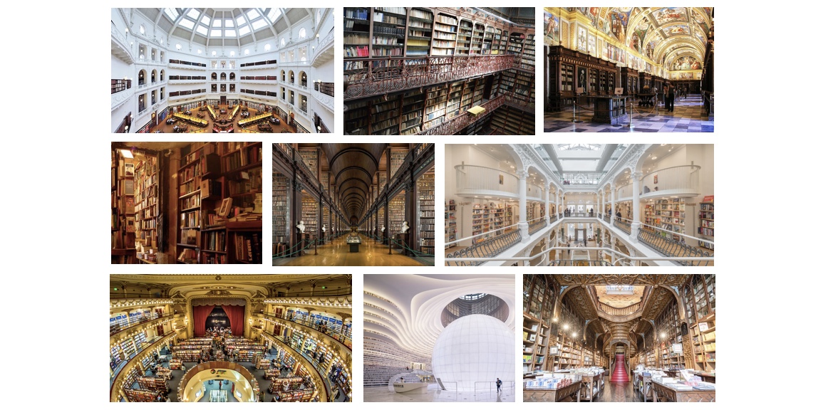 Libraries and bookshops around the world: a video project